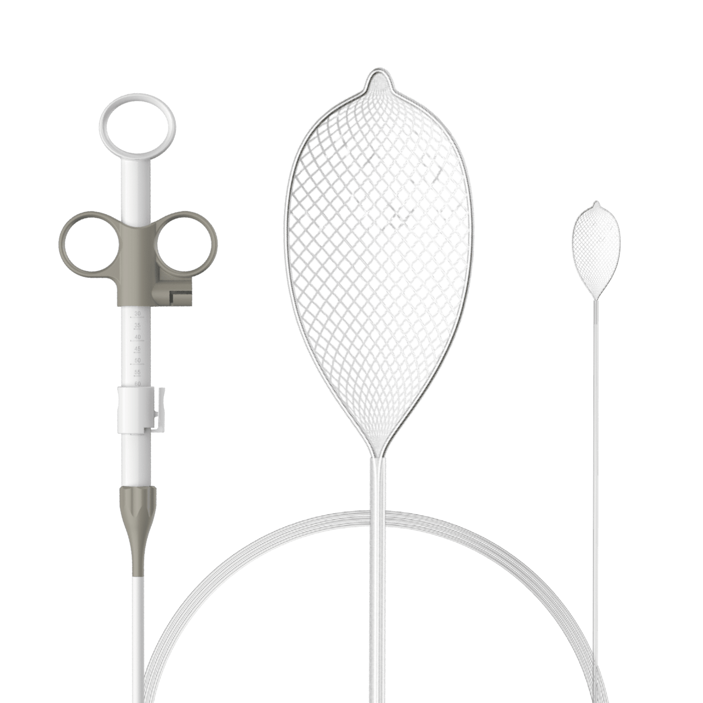CoralNet retrieval Net - Oval